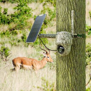 Alternative view of Reolink Go G450 4K 4G camo rajakaamera